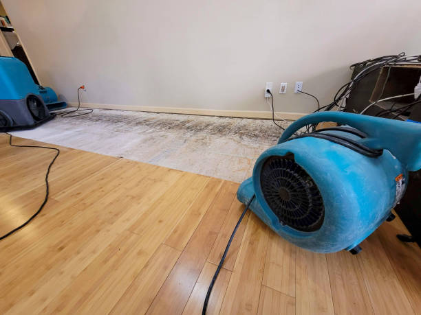 Professional Sewage Cleanup technician working in Rocky Mount, NC